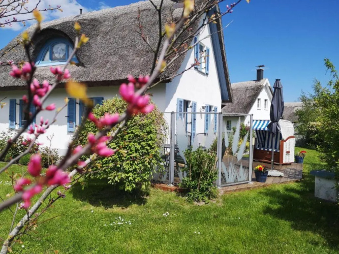 Ferienhaus-Seehund
