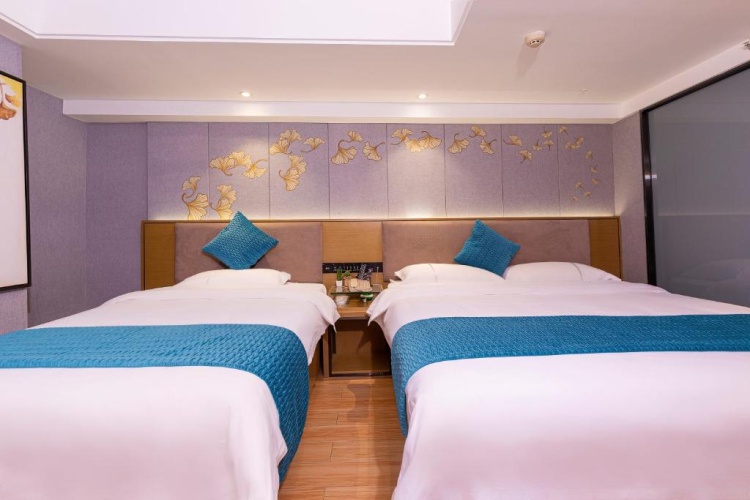 Deluxe Twin room with city view