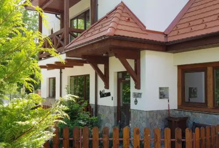 Alfinio Villa