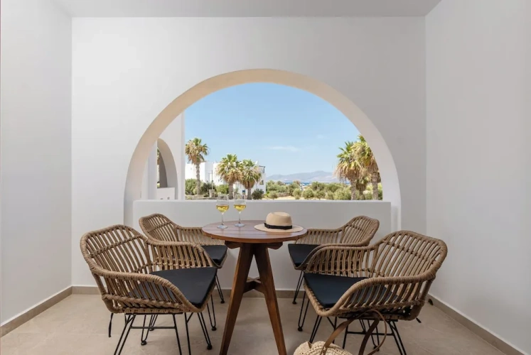 Superior Apartment