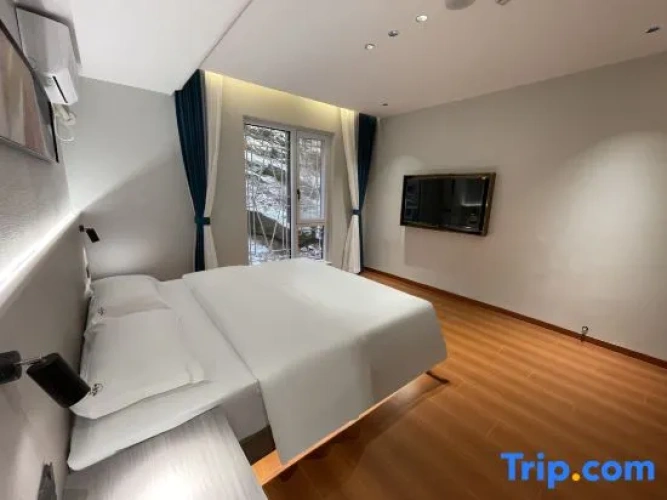 Standard Double room with mountain view