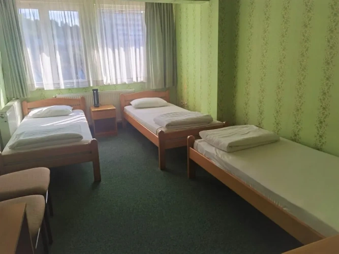 Comfort Double room with garden view