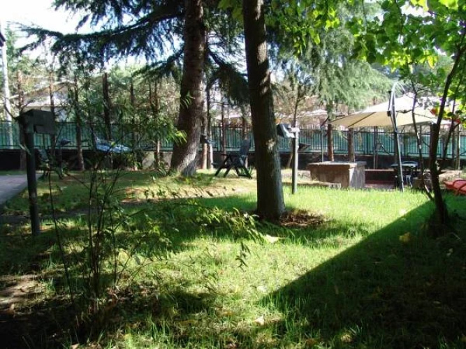 B&b Magnolia