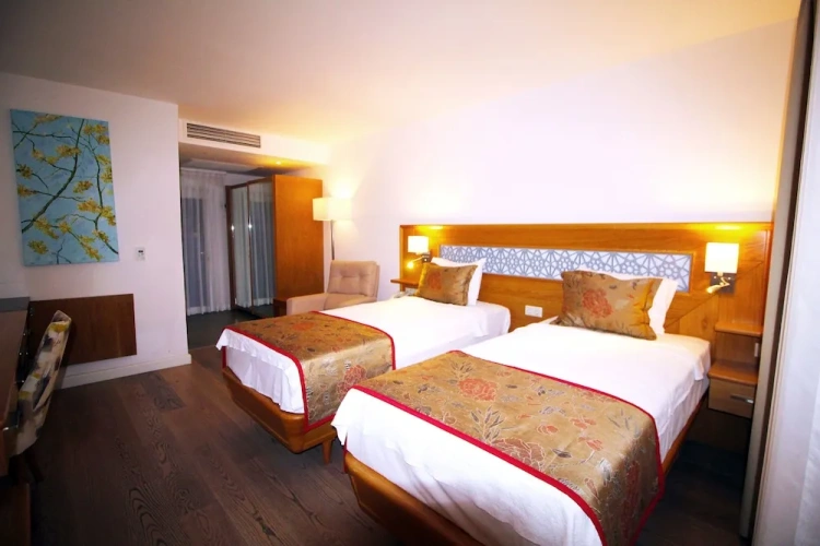 1 Bedroom Deluxe Twin room with balcony
