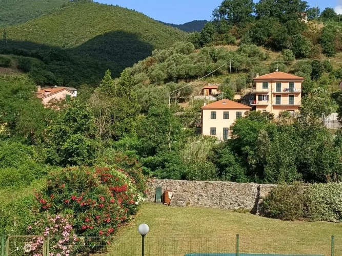 1 Bedroom Cottage
