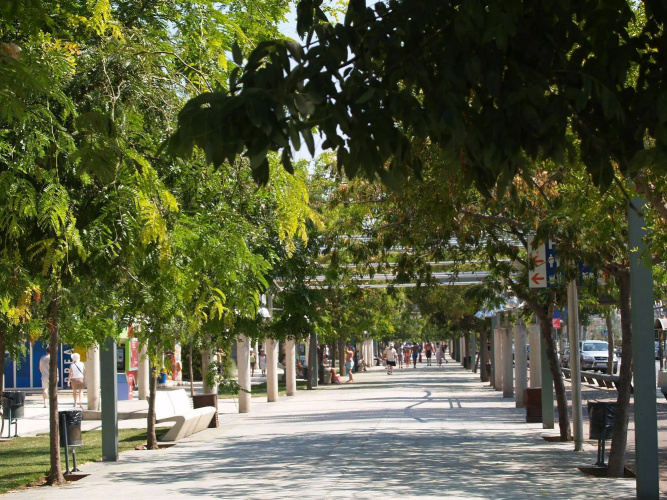 Montemar Maritim photo 20