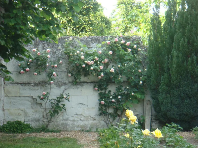 Villa Chanelle