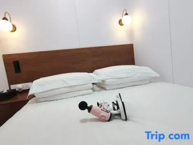Double Apartment