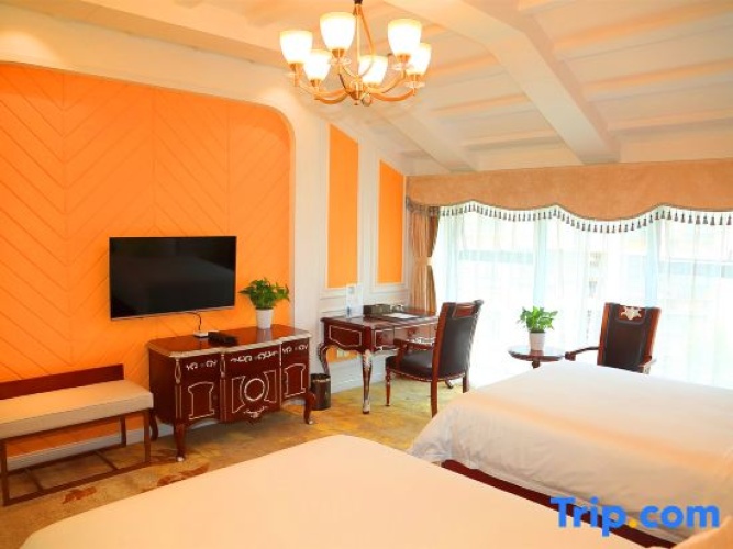 Deluxe Twin room with garden view