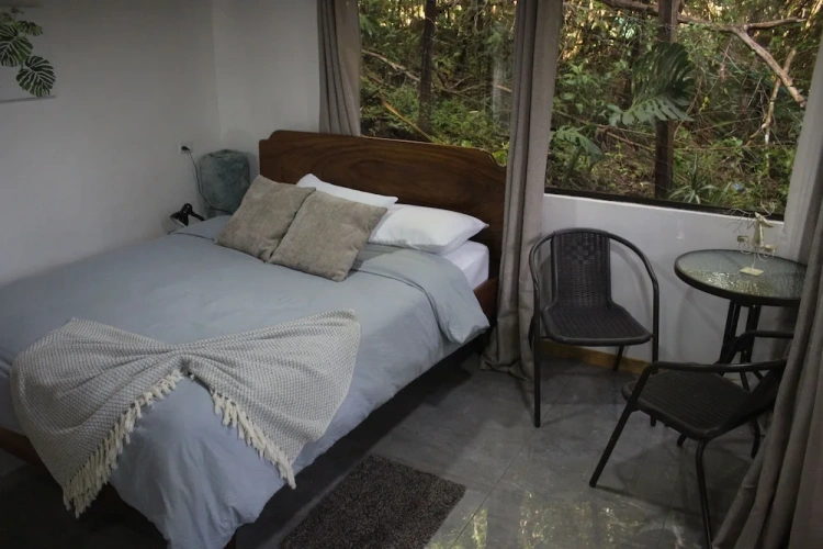 Comfort Studio