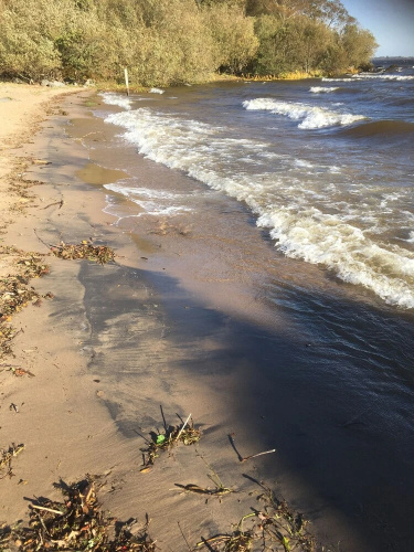 Carraigin Ban