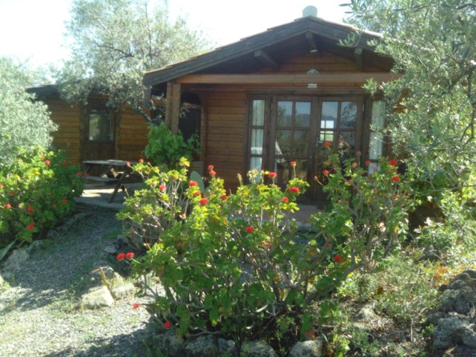 1 Bedroom Cottage