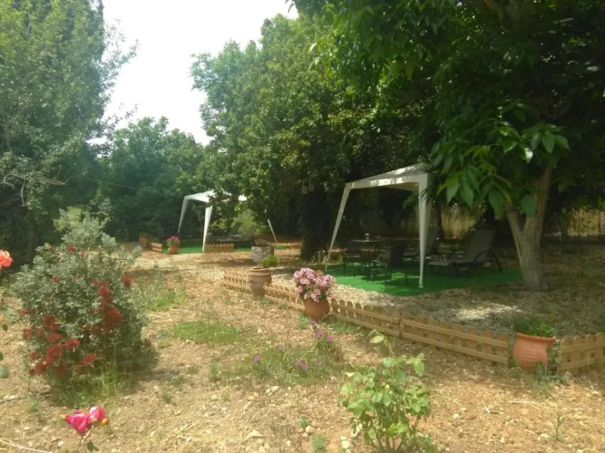 Diogenis Residence Euphoria