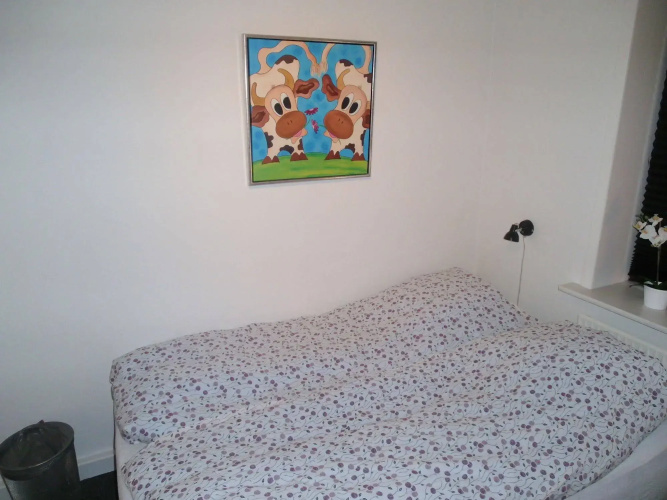 Give City Apartment