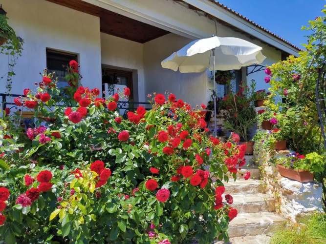 House Albena