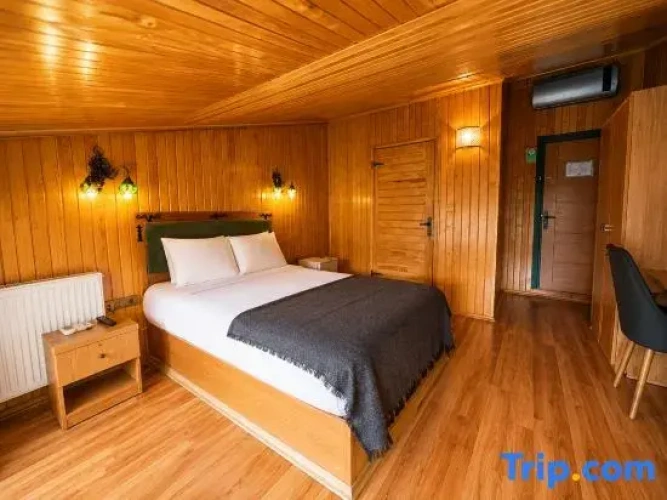 Economy Triple room