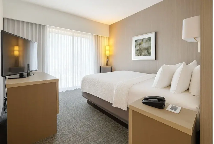 1 Bedroom Suite