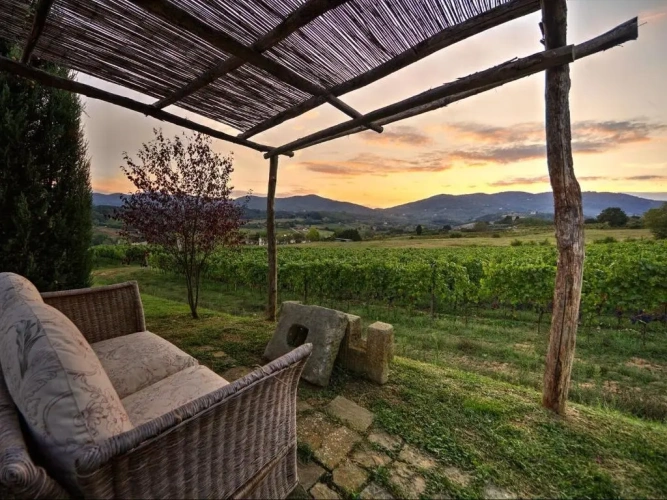 Superior Villa