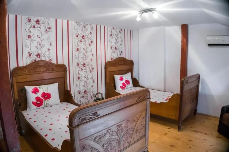 Economy Twin room