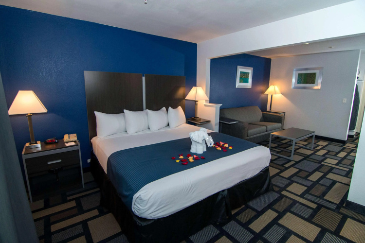 Best Western Galleria Inn & Suites photo 7
