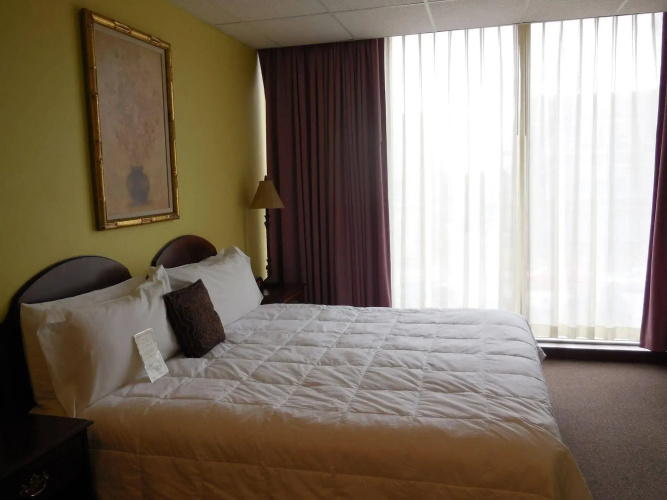 Higher Ground Hotel