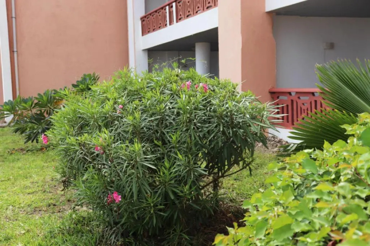 Ocean View Apartment D7
