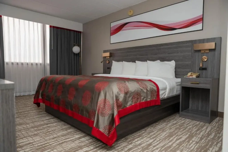 1 Bedroom Double Suite