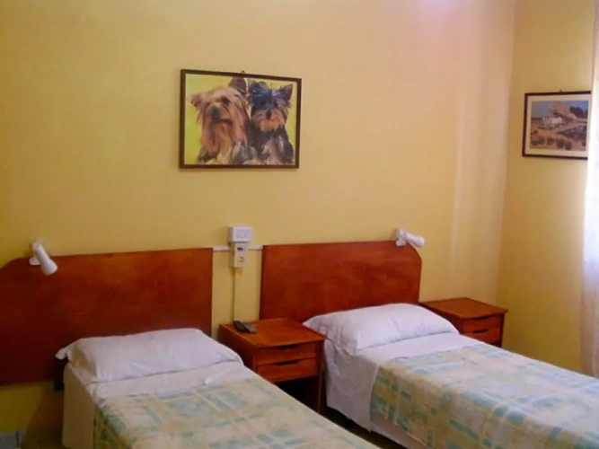 Standard Twin room