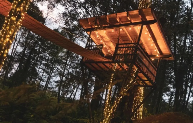 Casta a Incredible Lodge in the Forest With Private Jacuzzi