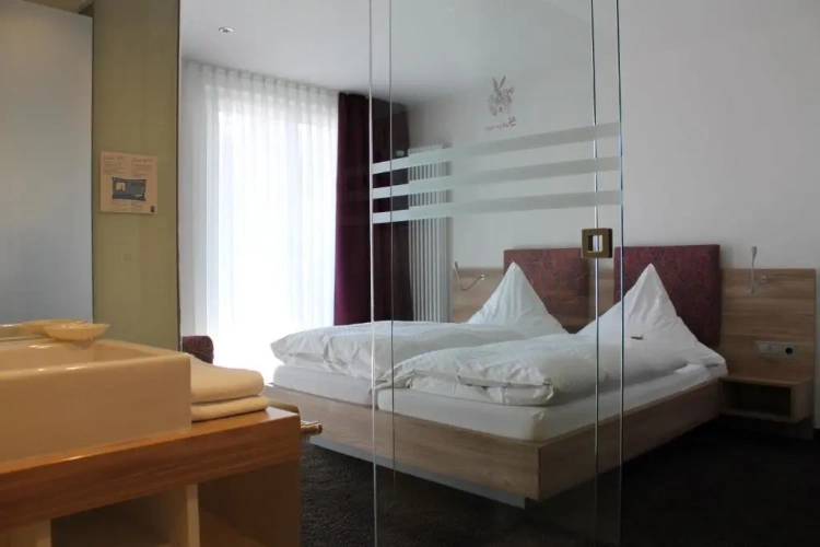 Deluxe Double room with balcony and with lake view