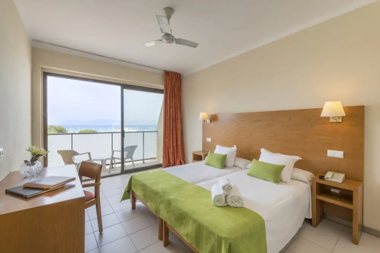 Standard Twin room with balcony and with sea view