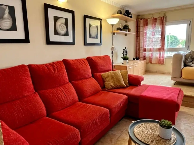 Basement Apartment