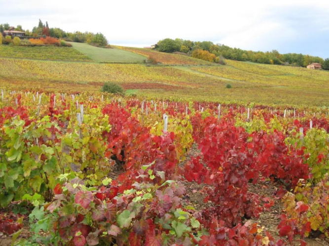 Domaine des Aloets