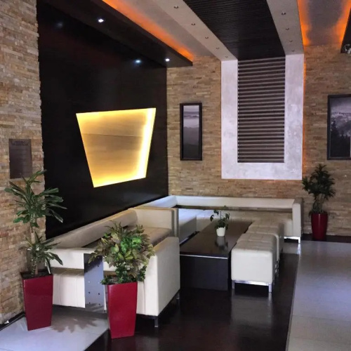 Apartment Janosevic