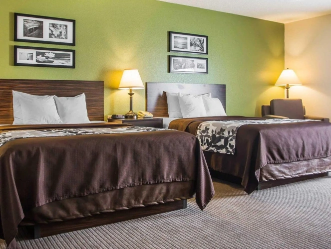 Standard Quadruple room