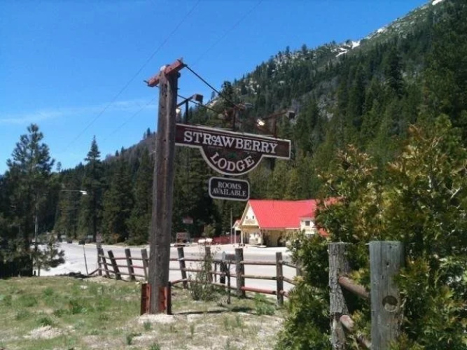 Strawberry Lodge