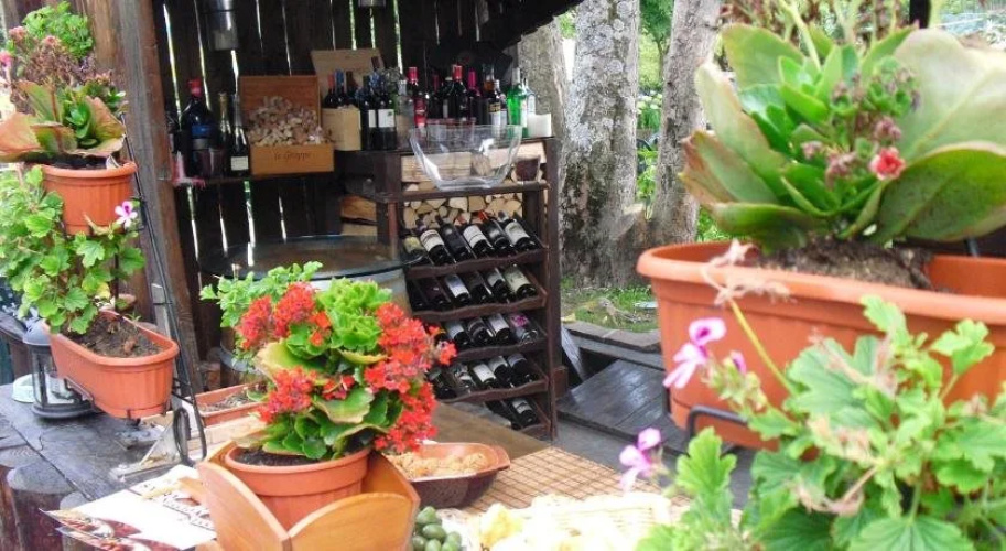 Hotel Sichi