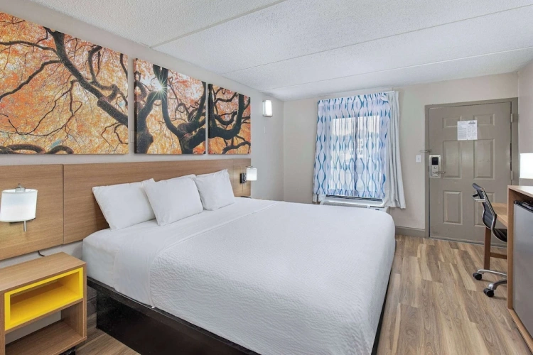 Standard Double room