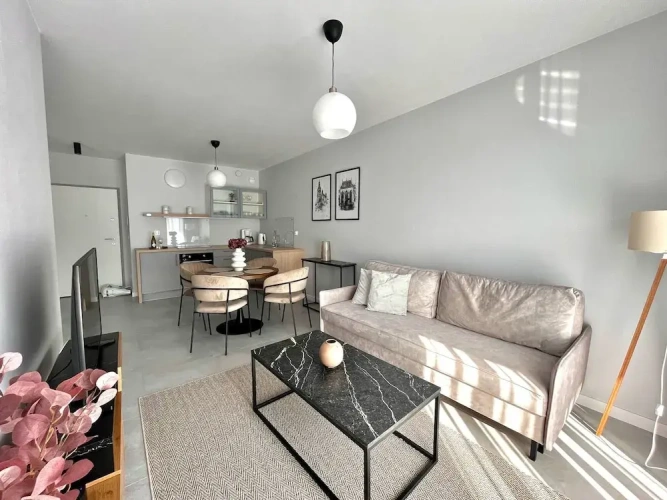 Comfort Apartment