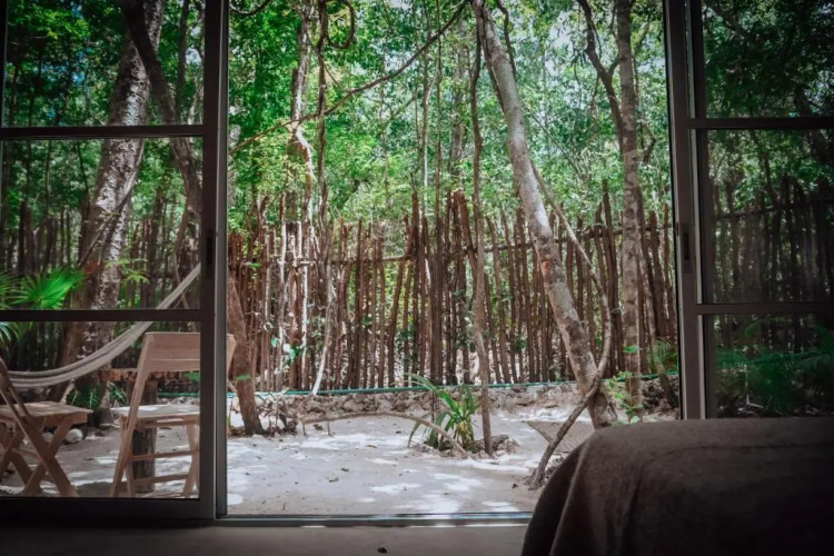 Lunita Jungle Hotel