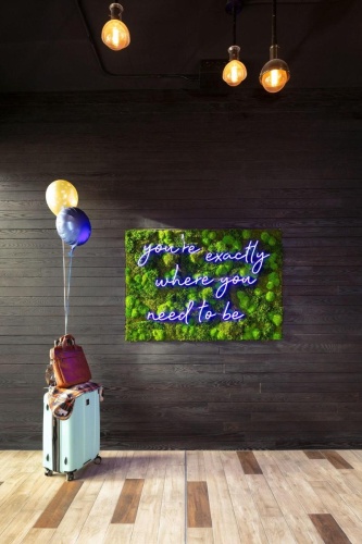 Moxy Halifax Downtown photo 10