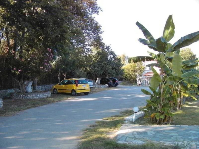 Banana Place