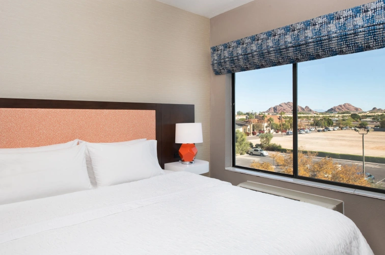 1 Bedroom Suite
