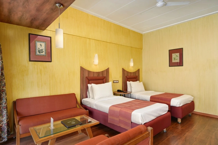 Deluxe Twin room with city view