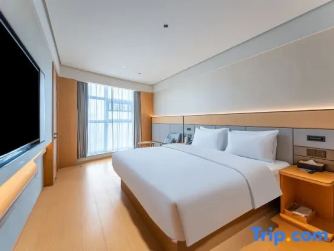 Comfort Suite