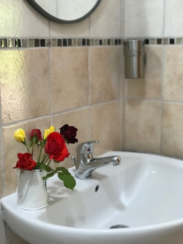 Arancetodamare Artemide