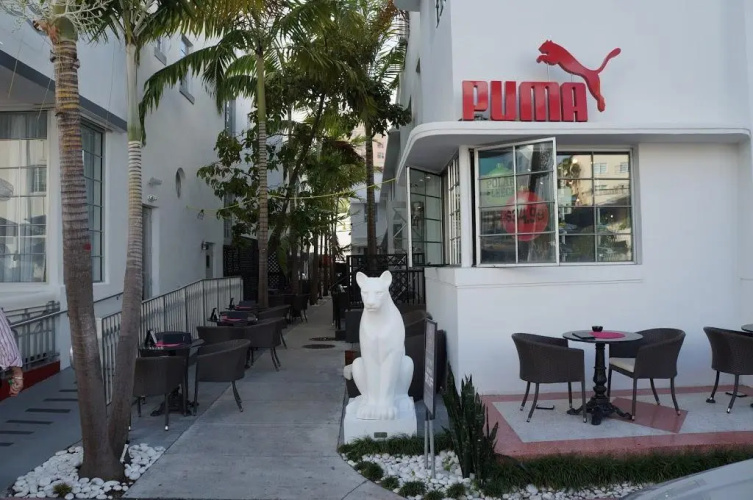 Posh South Beach Hostel photo 30