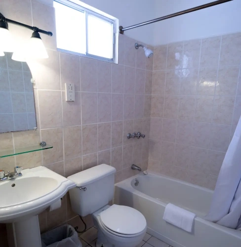 1 Bedroom Standard Apartment