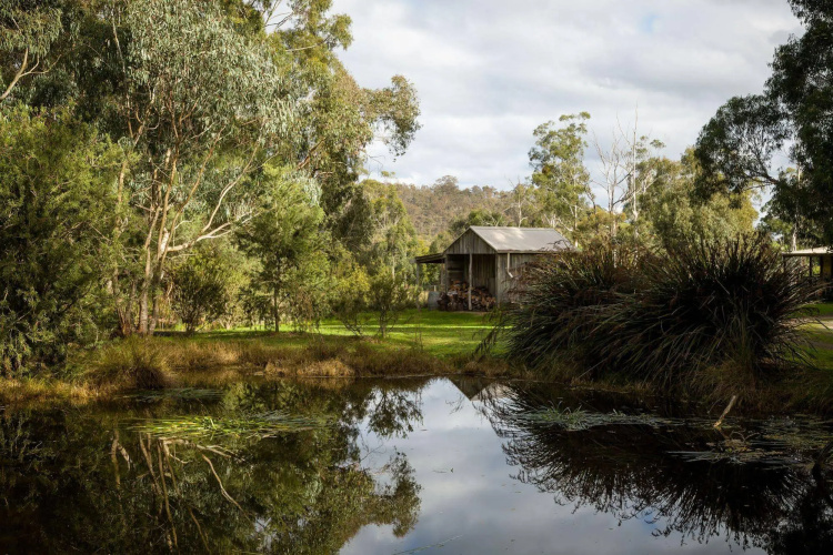 The Burrow At Wombat Bend