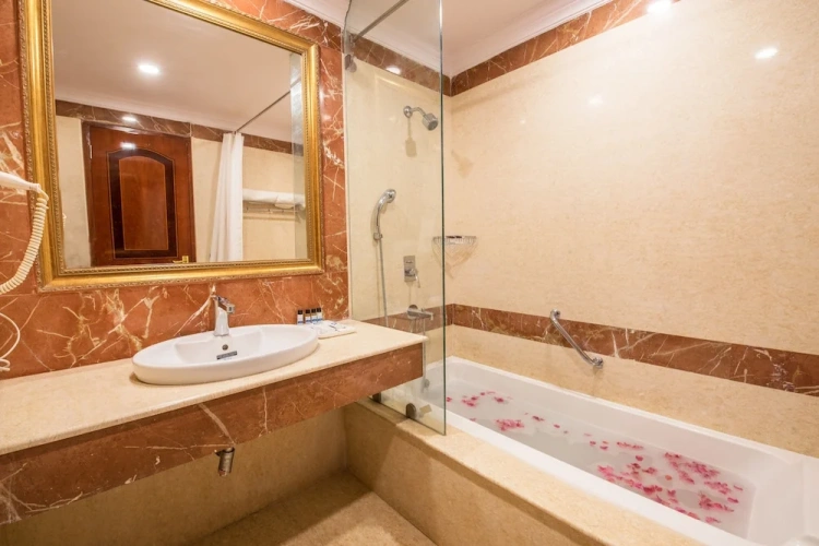 Premium Twin room